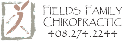 Adam Fields