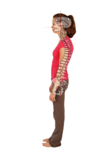 Curves and Posture of the Spine as they Relate to Pettibon Chiropractic