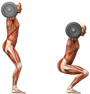 Proper spinal curves with Pettbon Chiropractic, Dr Adam Fields, San Jose Chiropractor