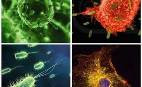 Friendly Bacteria Must be Protected from these items